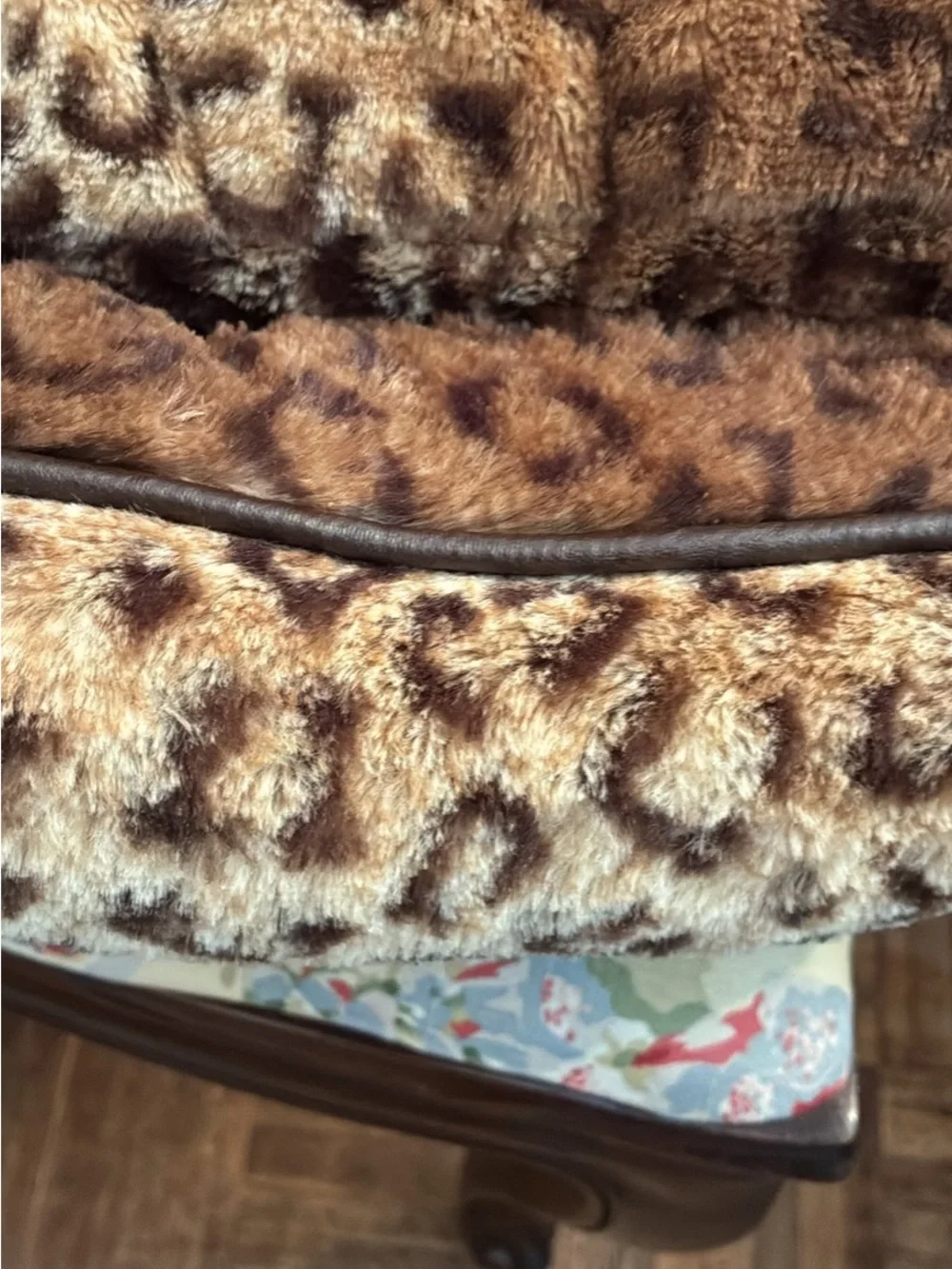 Bailey and Bella soft leopard